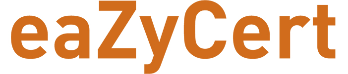 eaZyCert logo